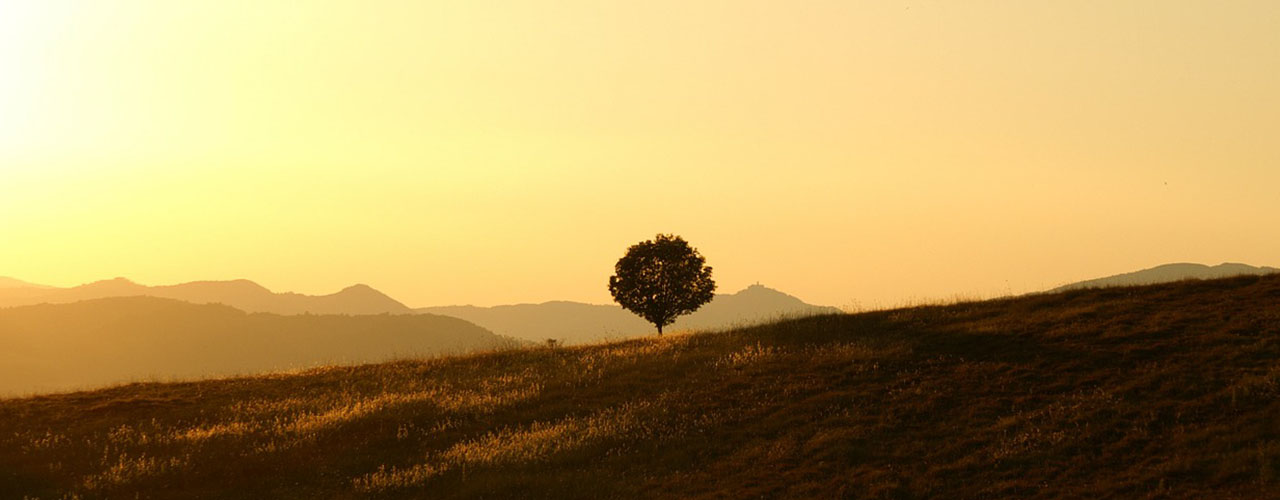 Gestionamos tu pagina o sistema web donde lo tengas alojado