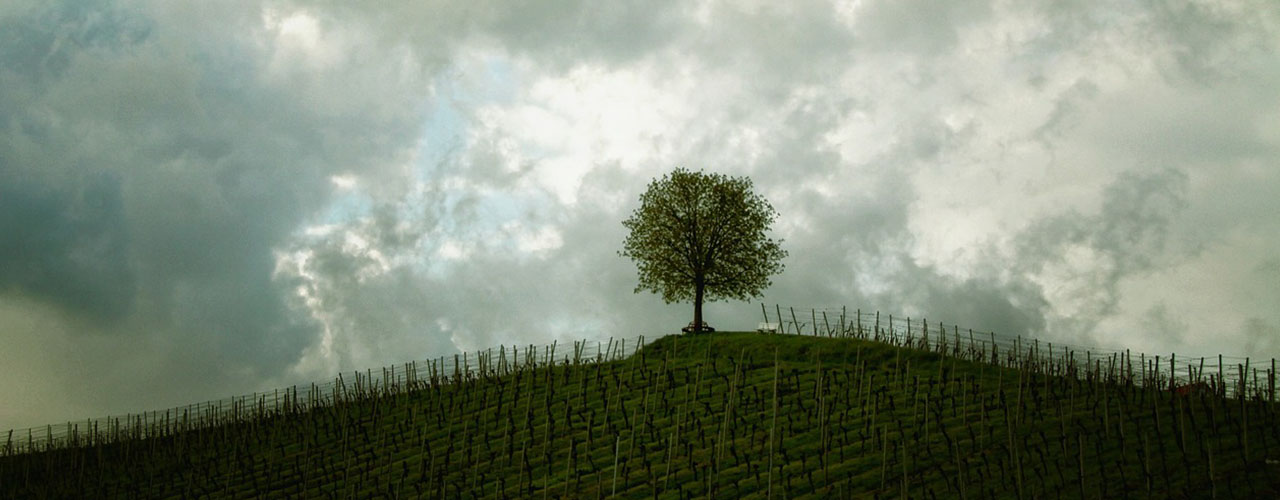 "Donde todo es posible"