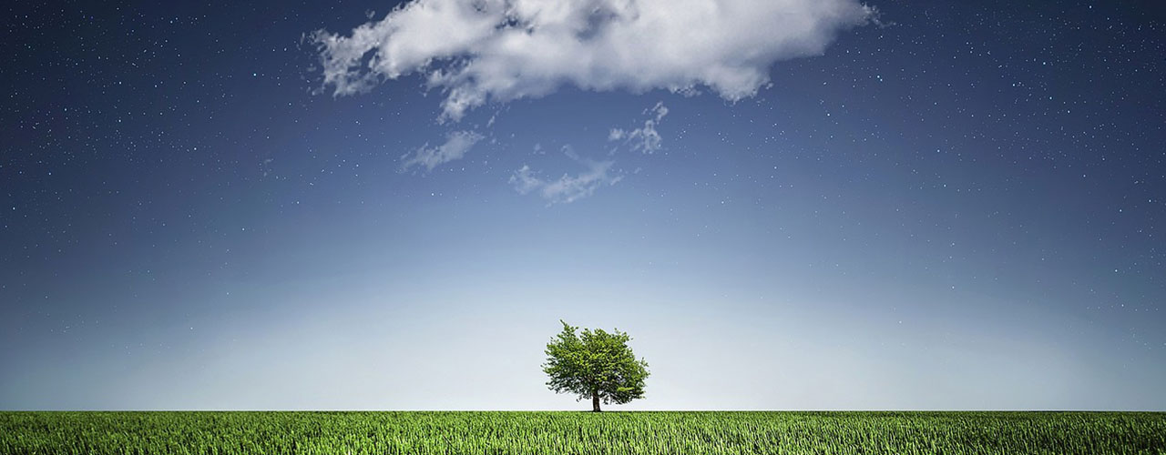 La seguridad es importante